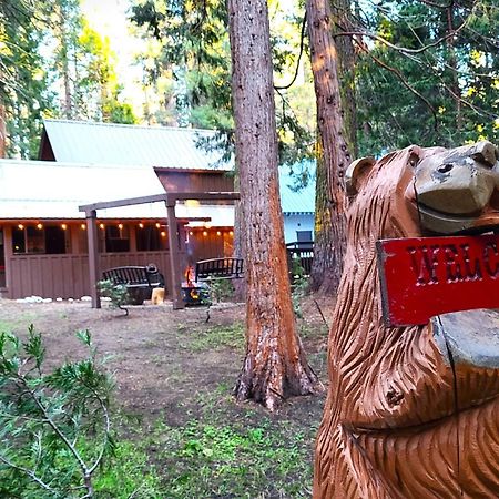 Sequoia Splendor, Inside Kings Canyon Np By Visitors Center Wilsonia Exterior foto