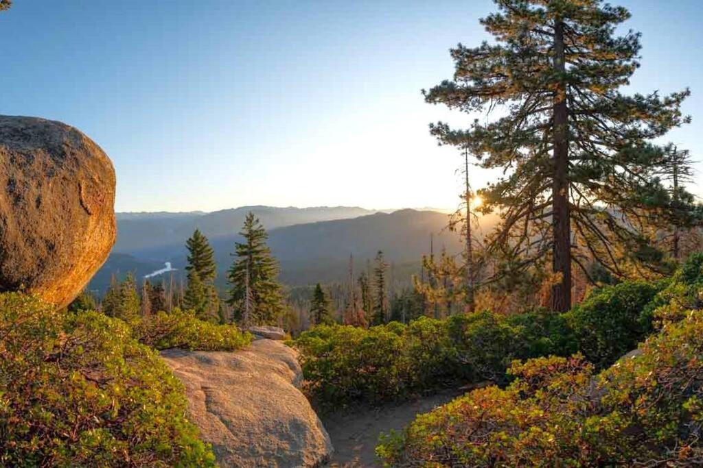 Sequoia Splendor, Inside Kings Canyon Np By Visitors Center Wilsonia Exterior foto