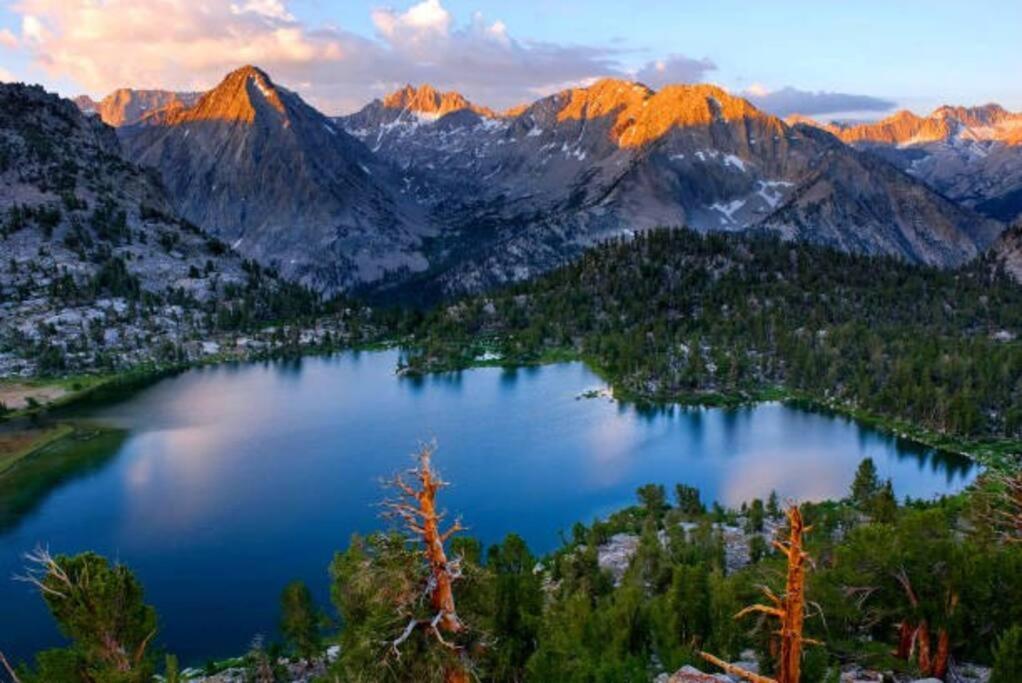 Sequoia Splendor, Inside Kings Canyon Np By Visitors Center Wilsonia Exterior foto