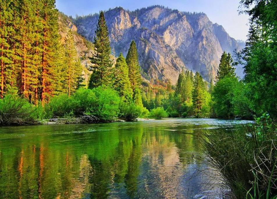 Sequoia Splendor, Inside Kings Canyon Np By Visitors Center Wilsonia Exterior foto