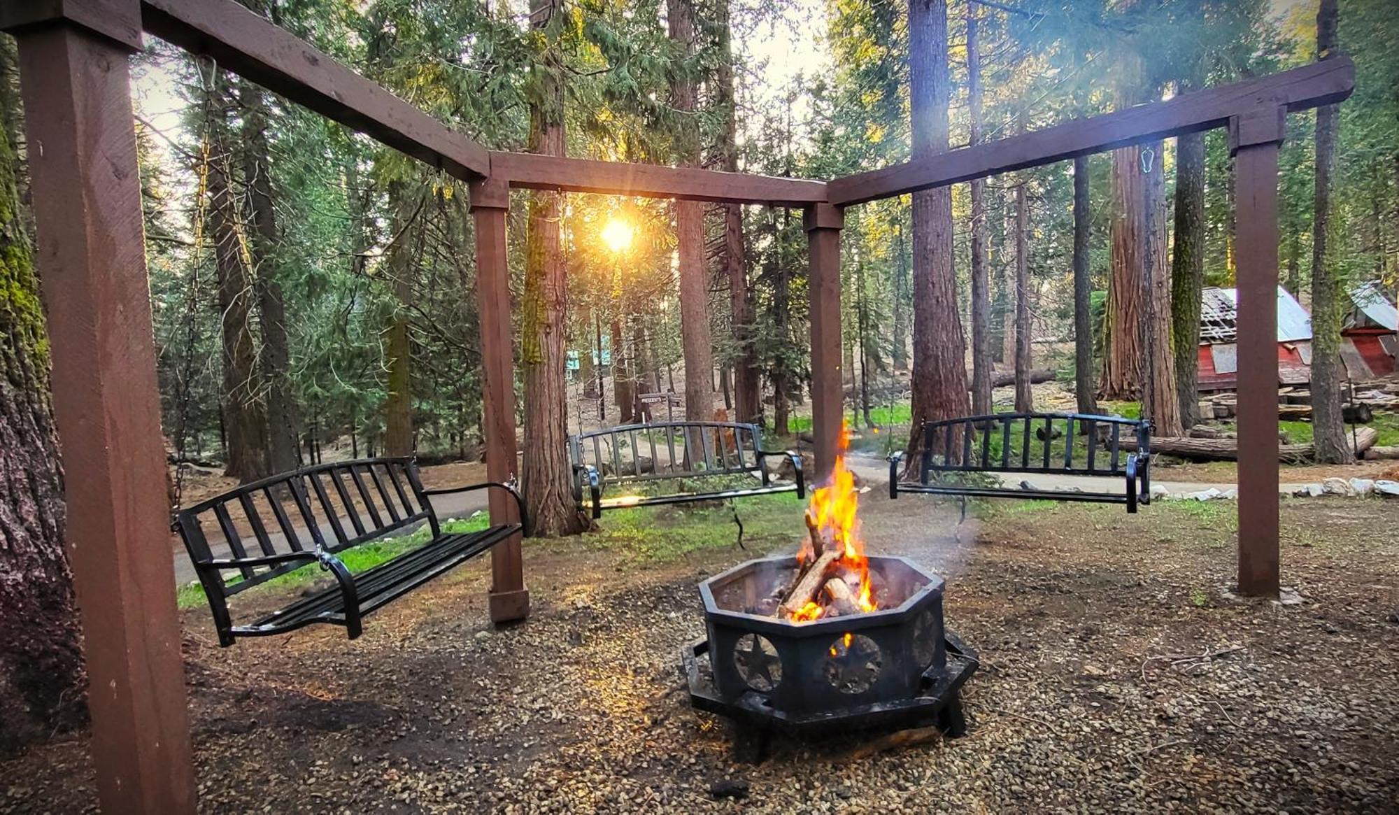 Sequoia Splendor, Inside Kings Canyon Np By Visitors Center Wilsonia Exterior foto